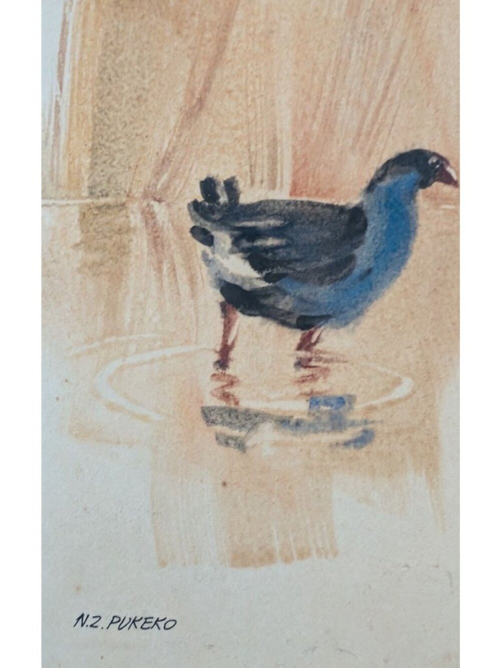New Zealand Pukeko Artwork John Brasell in Wood Frame Minor Flaws 8.5 x 6 in - Picture 5 of 15